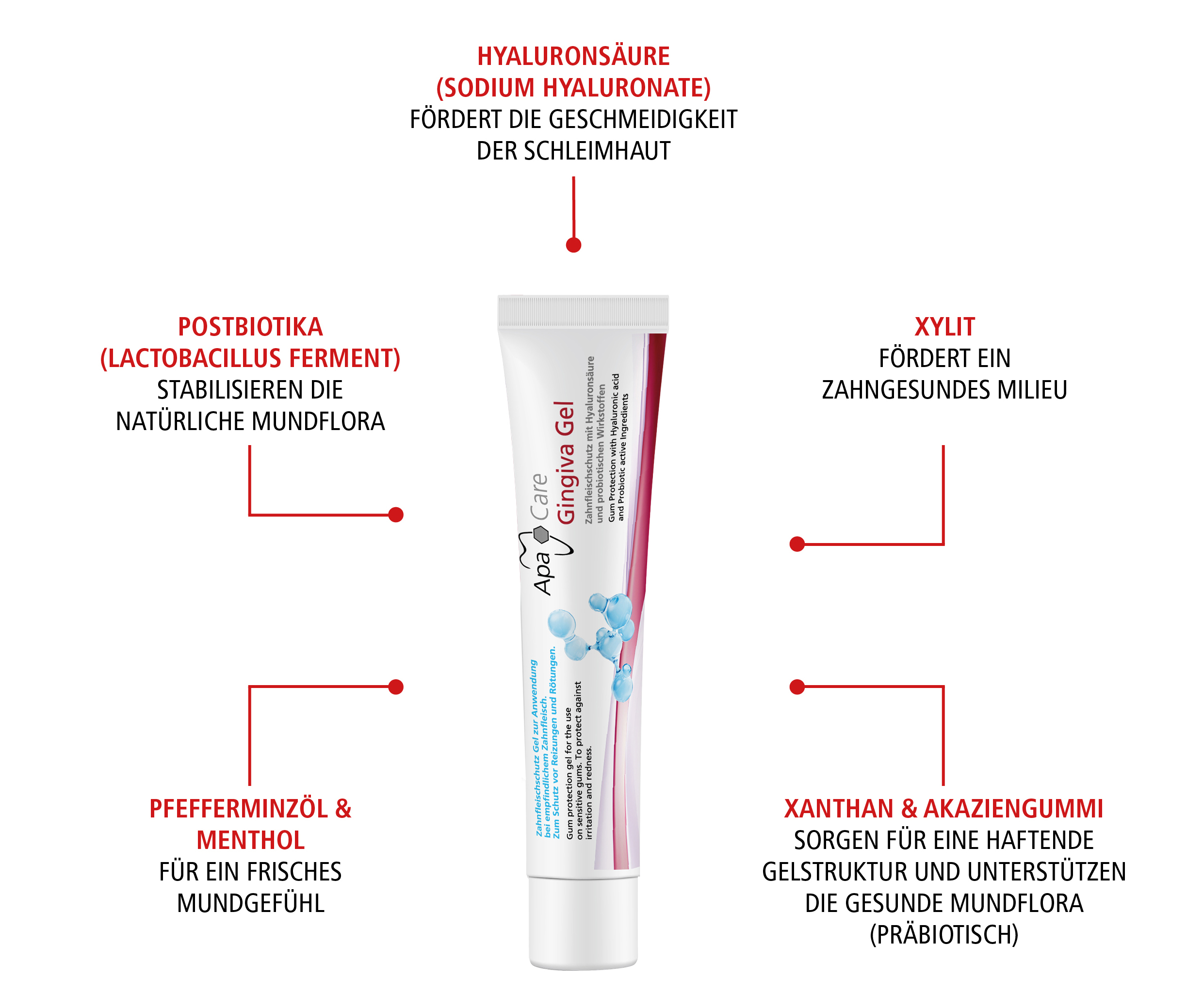 Gingiva Gel Gingiva Gel