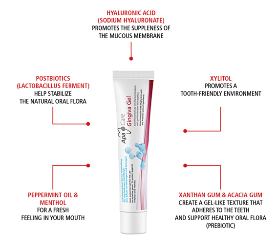 Gingiva Gel